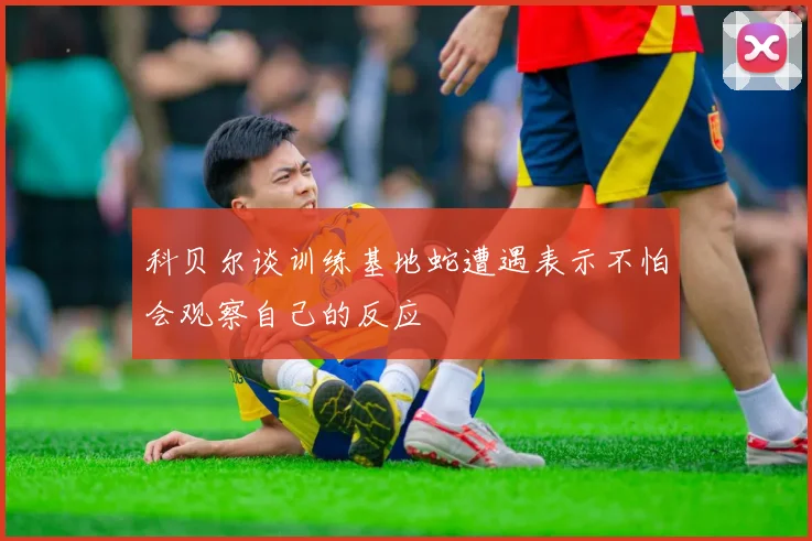 科贝尔谈训练基地蛇遭遇表示不怕会观察自己的反应